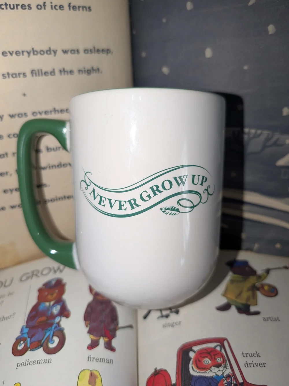 Disney Peter Pan Never Give Up Ceramic Cup